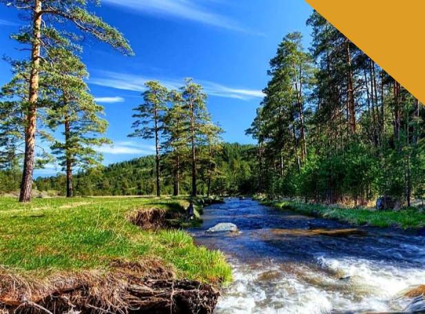 Dečiji izlet Stara planina